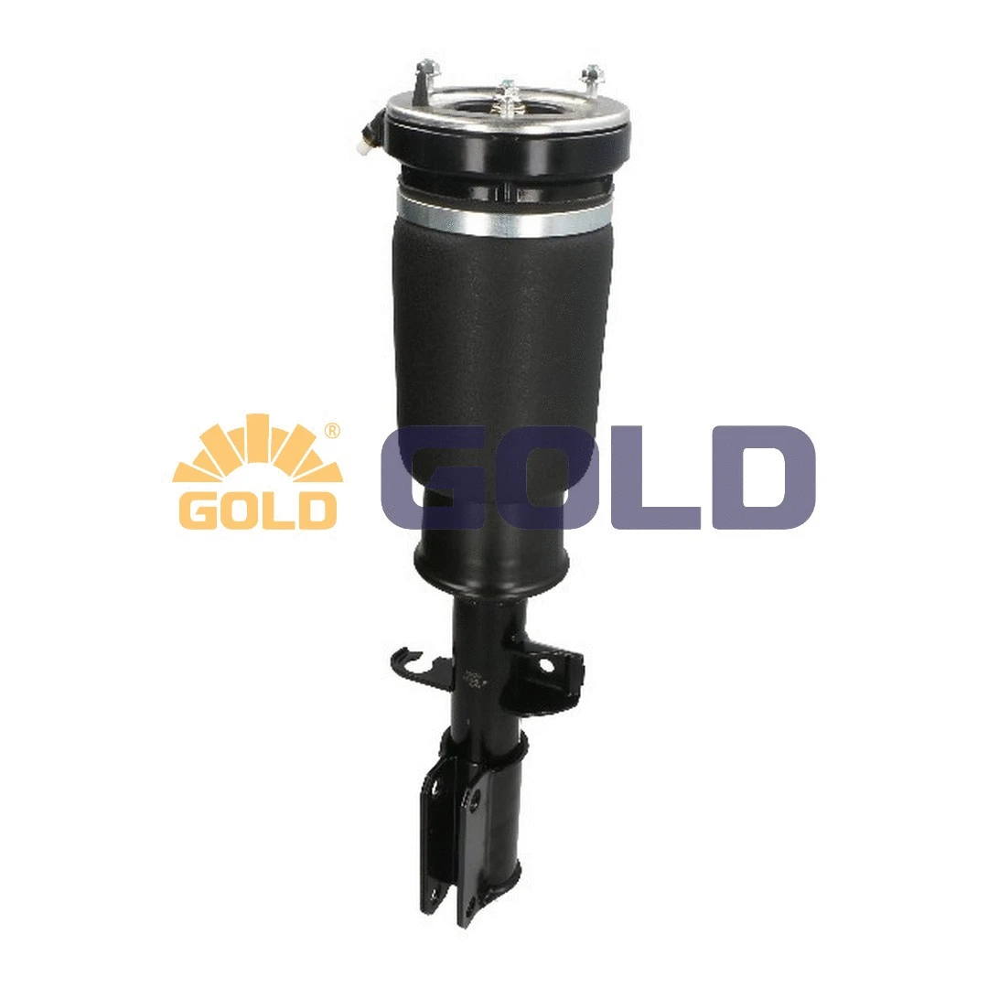 Air Suspension Strut (G680041)