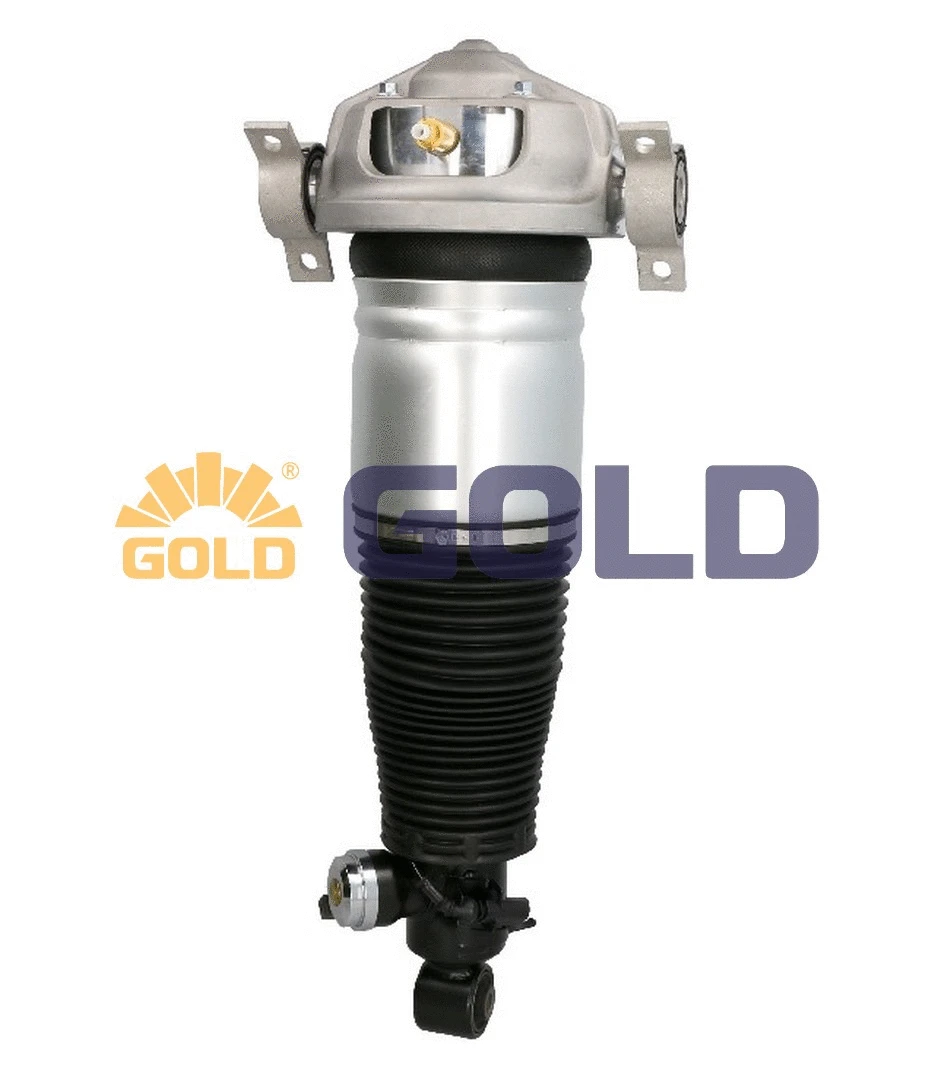 Air Suspension Strut (6160221)