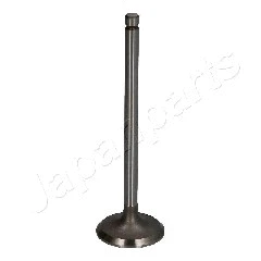 Intake Valve