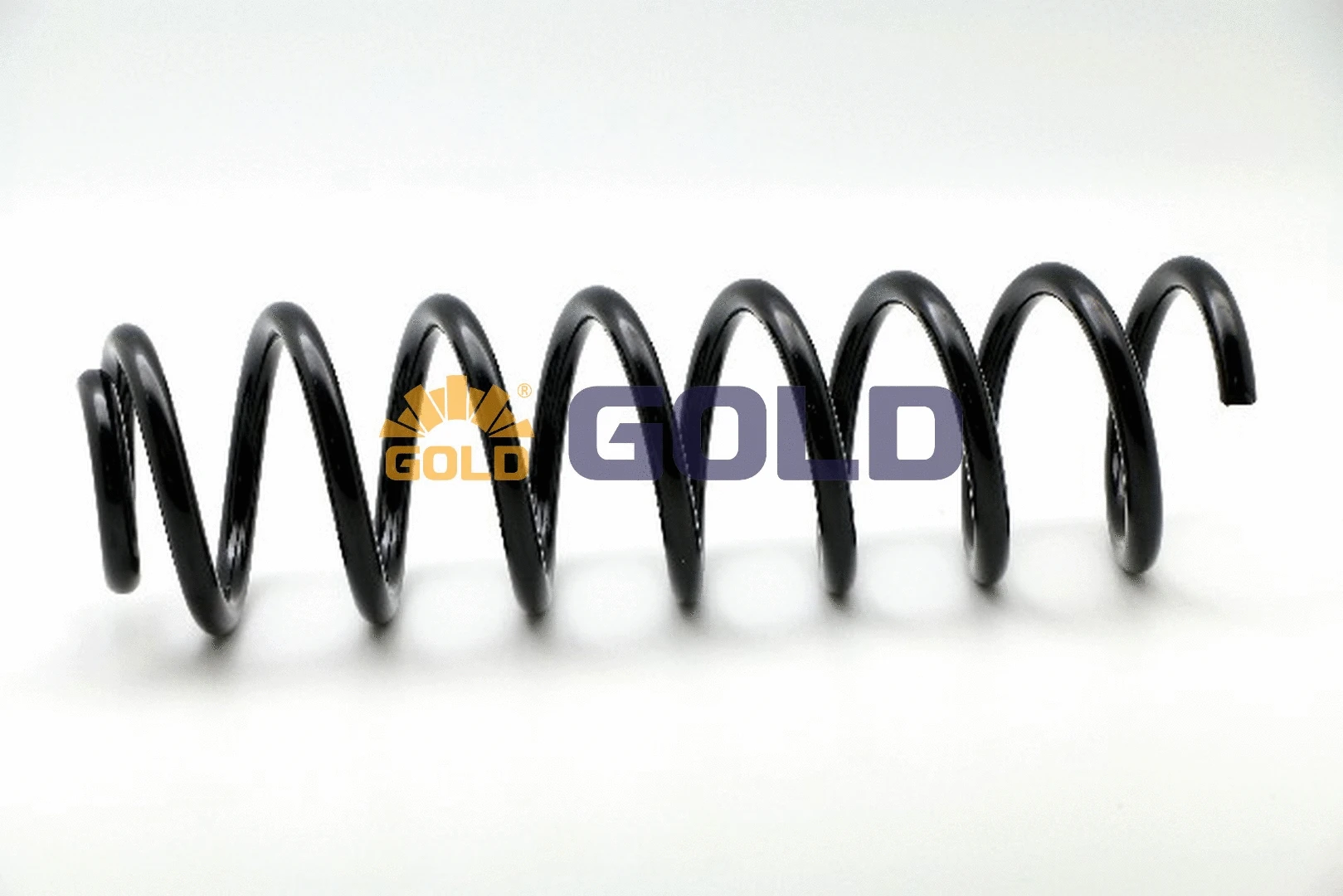 Suspension Spring (GZJ3163G)