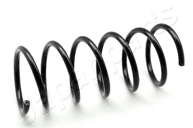 Suspension Spring (ZC3921A)