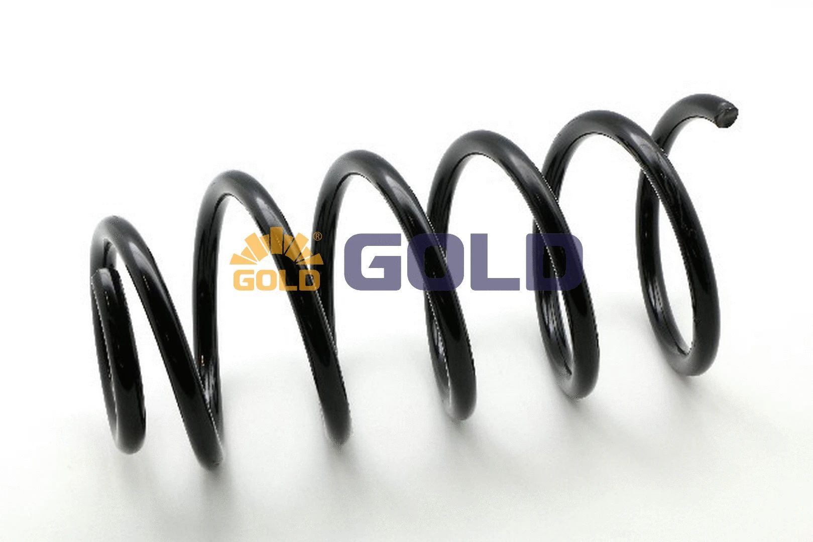 Suspension Spring (GZJ1699C)