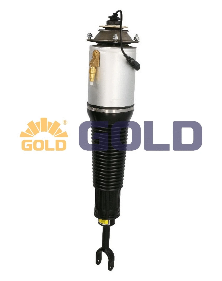 Air Suspension Strut (6160191)