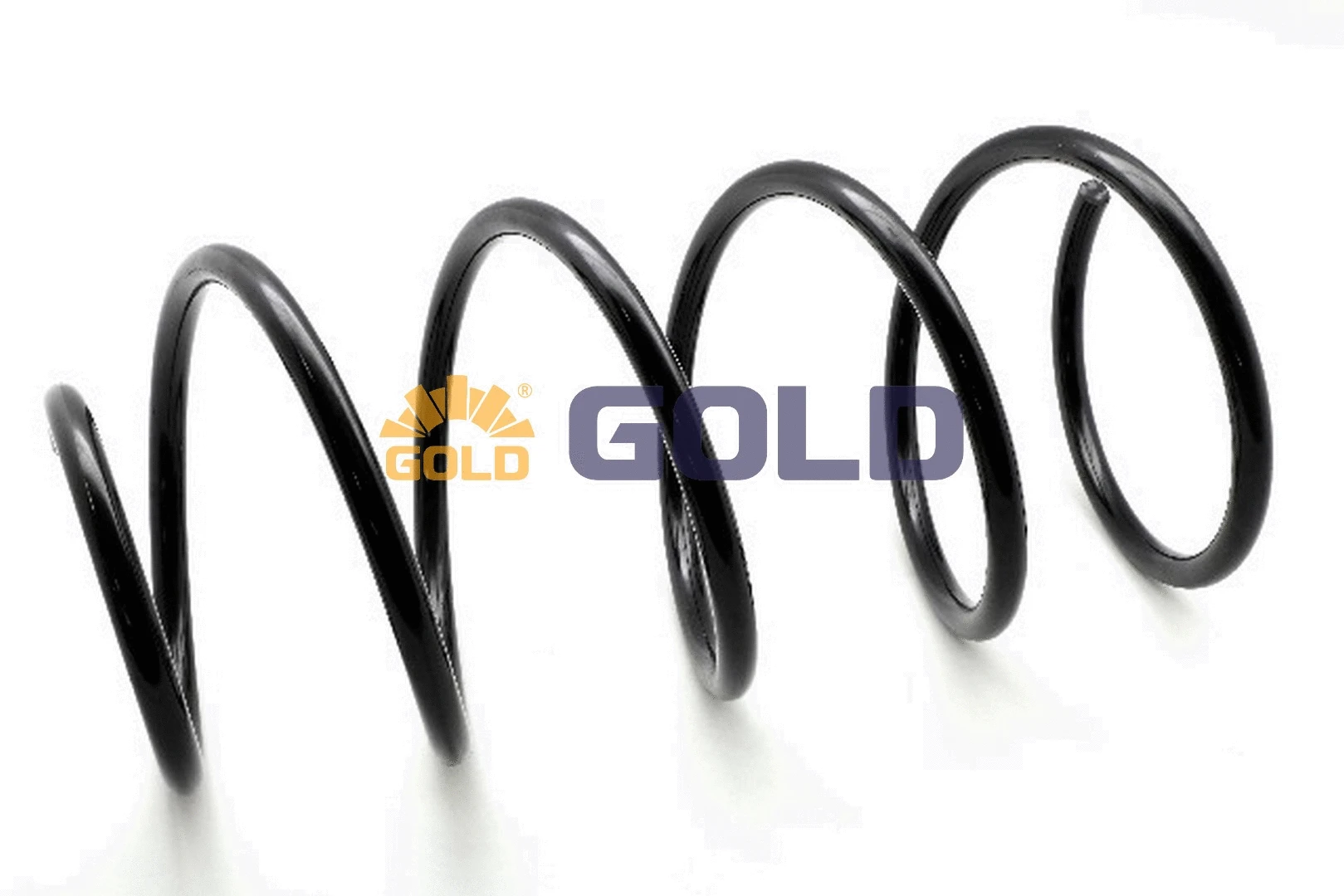 Suspension Spring (GZJ1569G)