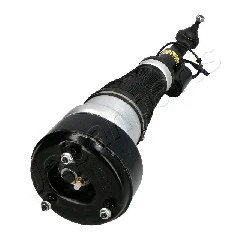 Air Suspension Strut