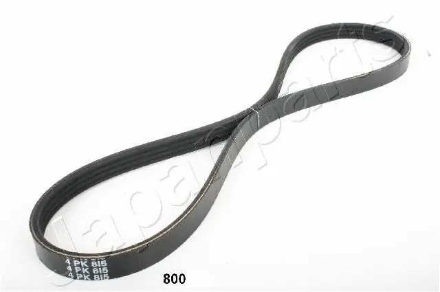 V-Ribbed Belt (TV-800)