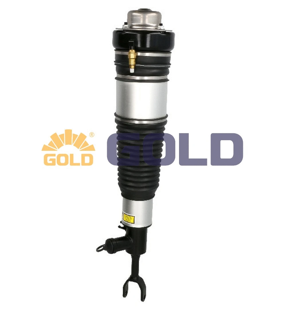 Air Suspension Strut (G680002)