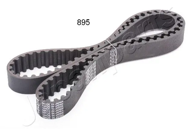 Timing Belt (DD-895)