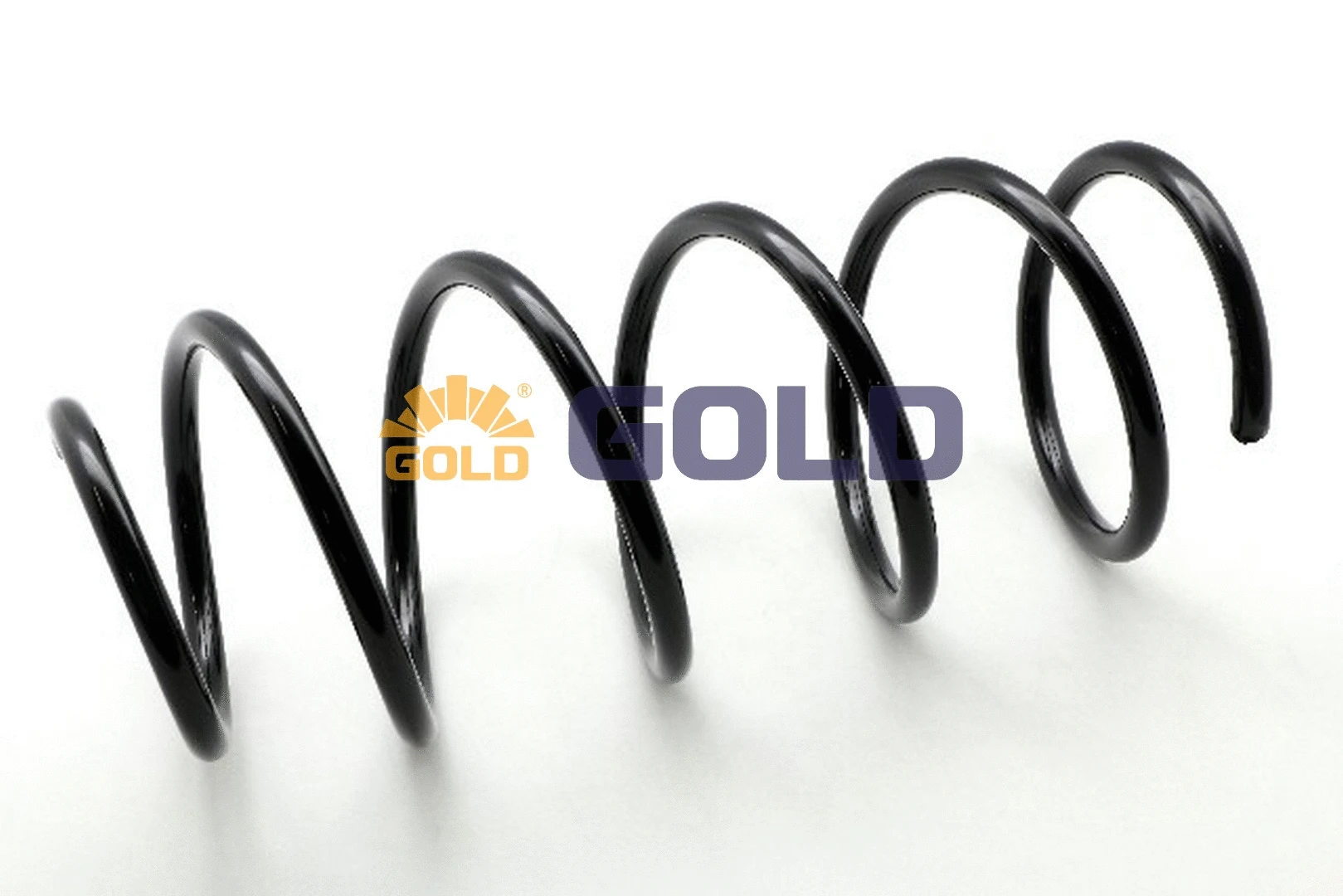 Suspension Spring (GZJ1138G)