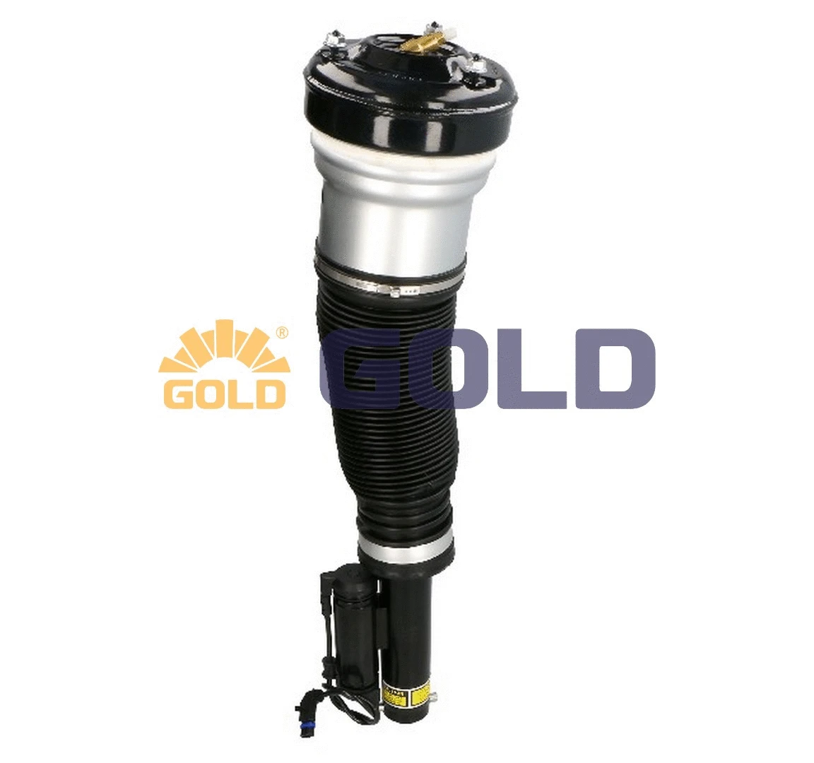 Air Suspension Strut (6160090)