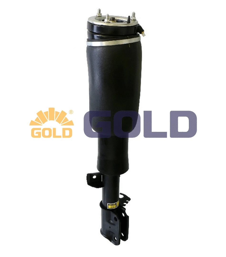 Air Suspension Strut (6160312)