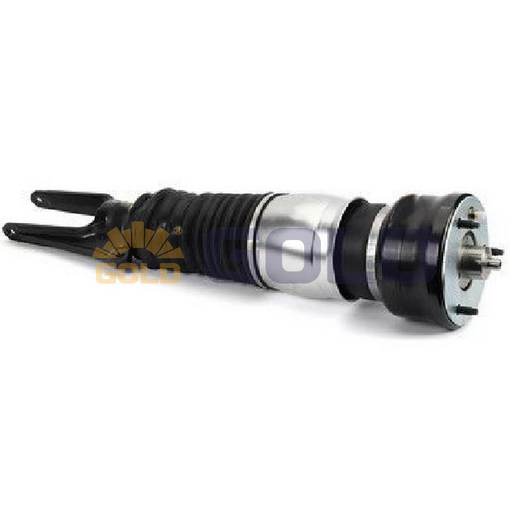 Air Suspension Strut (6161392)