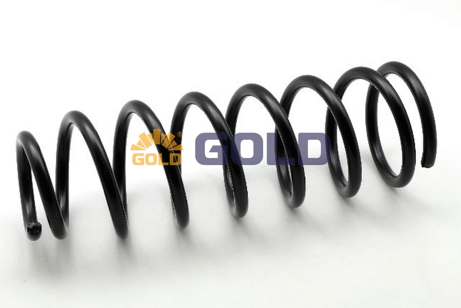 Suspension Spring (GZJ6548G)
