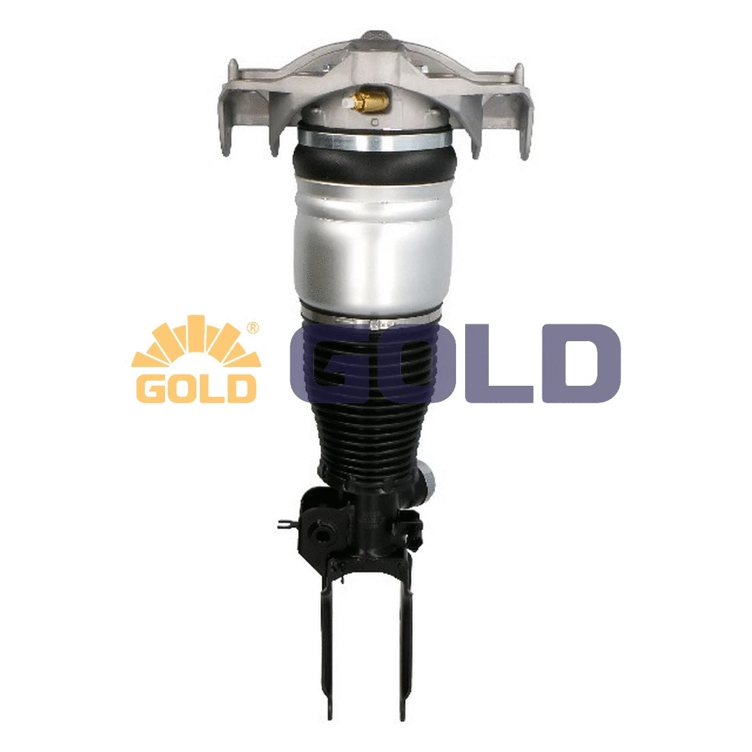Air Suspension Strut (6160212)
