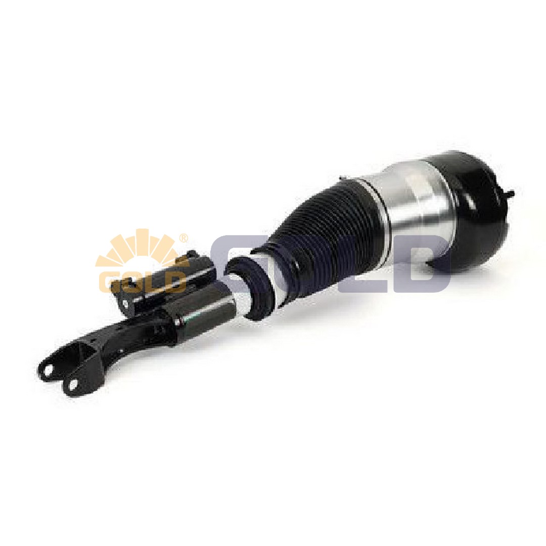 Air Suspension Strut (GAS115)