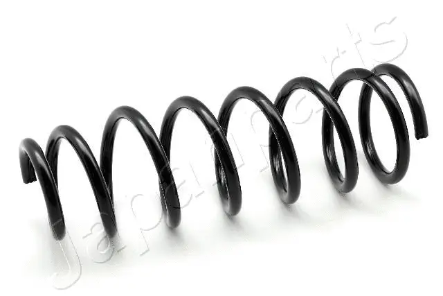 Suspension Spring (ZC6543G)
