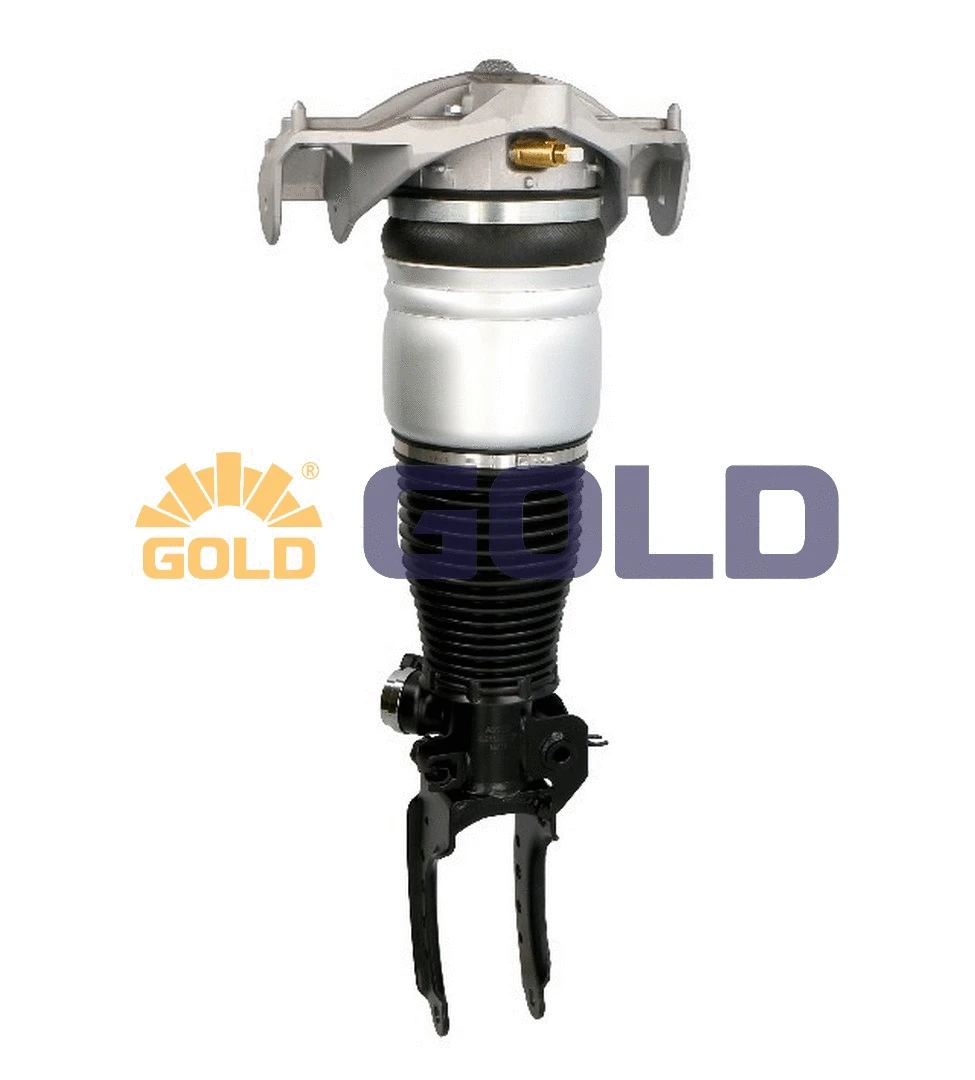 Air Suspension Strut (6160211)