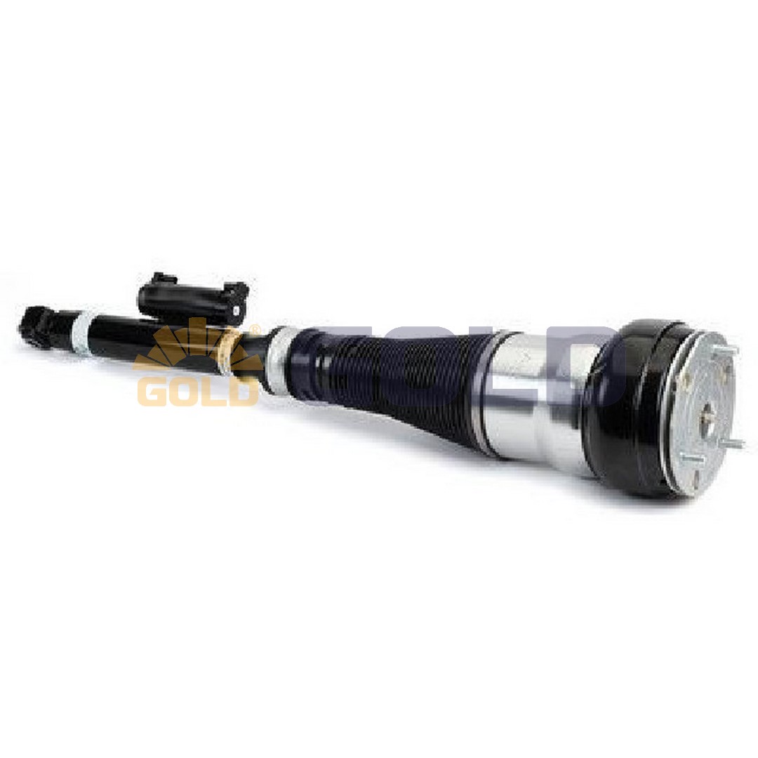 Air Suspension Strut (6162442)