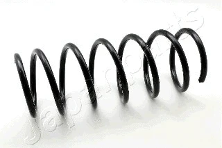 Suspension Spring (ZC1304H)