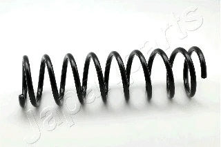 Suspension Spring (ZC1111A)