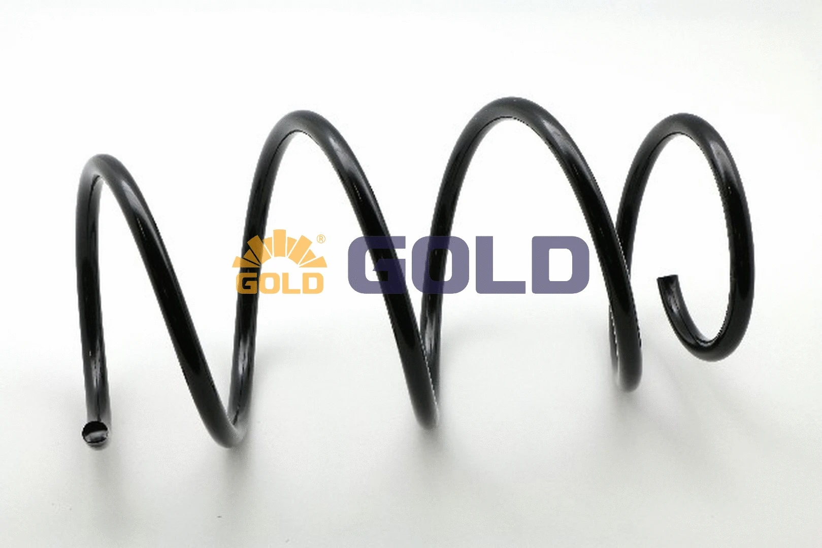 Suspension Spring (GZJ2580H)