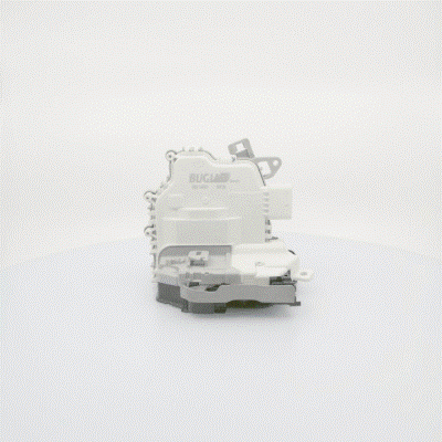 Door Lock (BDL14021)