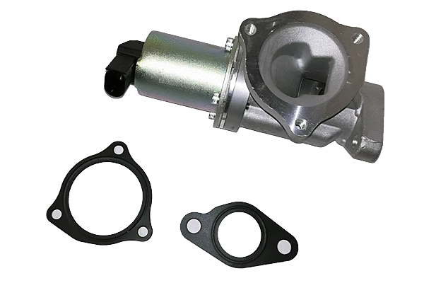 EGR Valve (BGR13053)
