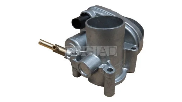 Throttle Body (BSP23248)