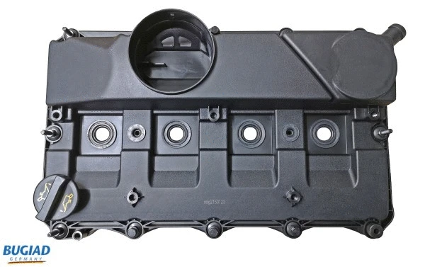 Cylinder Head Cover (BVC50123)