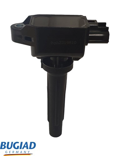 Ignition Coil (BIC19810)