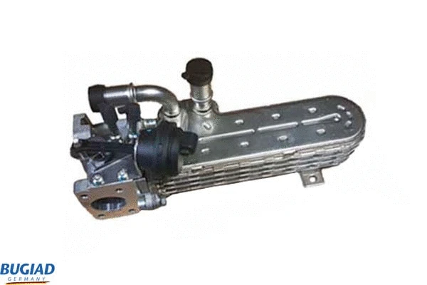 EGR Valve (BGR13103)