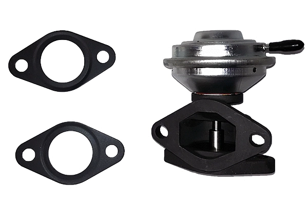 EGR Valve (BGR13032)