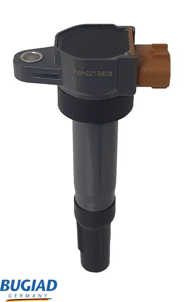 Ignition Coil (BIC19808)