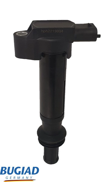 Ignition Coil (BIC19804)