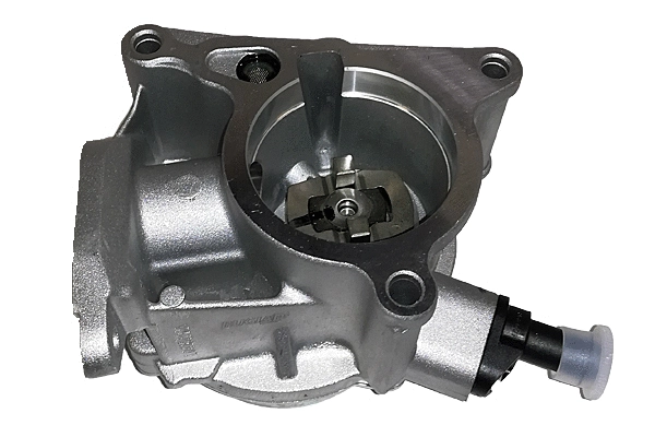 Vacuum Pump, braking system (BGT00018)
