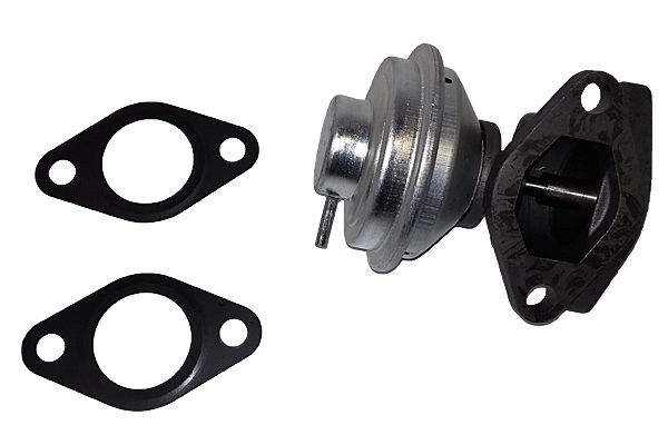EGR Valve (BGR13031)