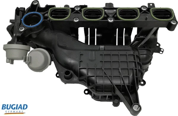 Intake Manifold Module (BIM17002)