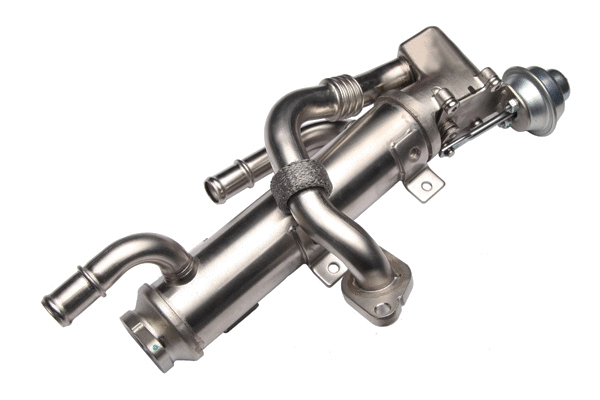 EGR Valve (BGR13102)