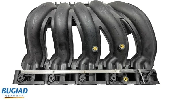 Intake Manifold Module (BIM17005)