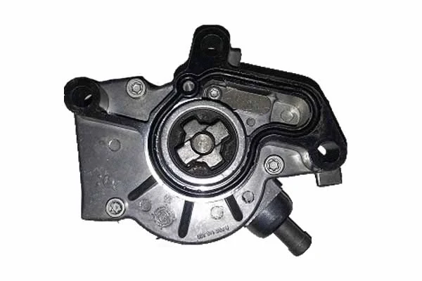 Vacuum Pump, braking system (BGT00010)