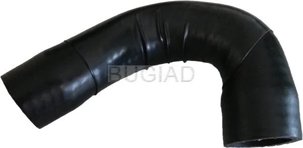 Charge Air Hose (86631)