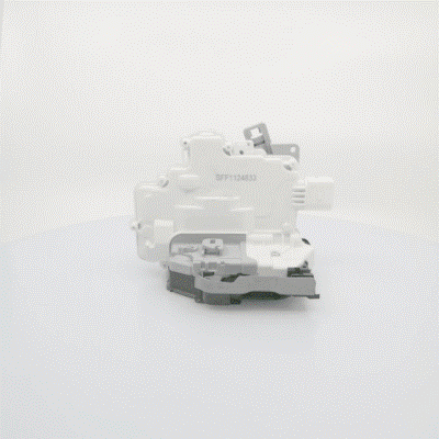 Door Lock (BSP24833)