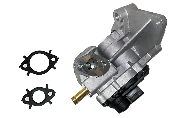 EGR Valve (BGR13012)