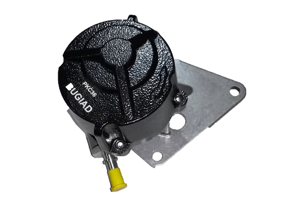 Vacuum Pump, braking system (BGT00017)