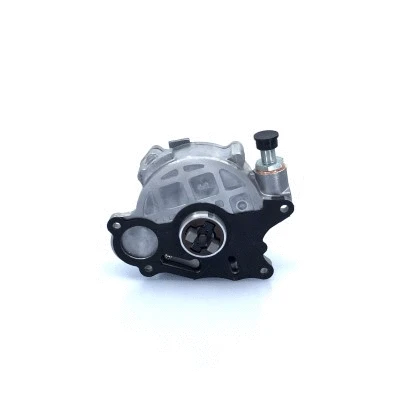 Vacuum Pump, braking system (BGT00013)