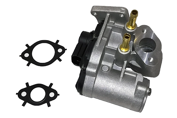 EGR Valve (BGR13010)