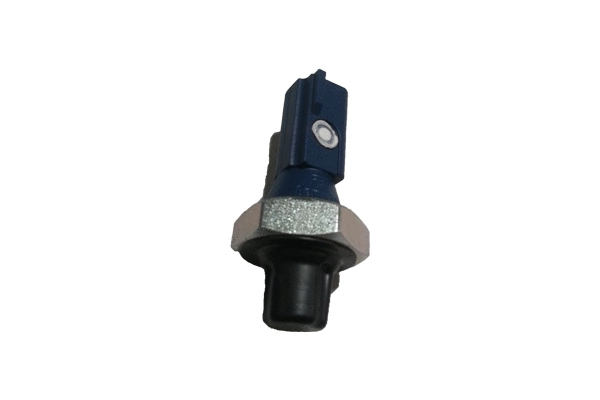 Oil Pressure Switch (BSP24898)