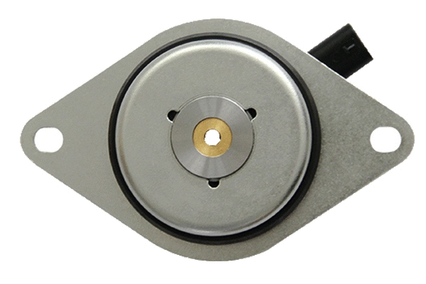 Control Valve, camshaft adjustment (BMS54531)