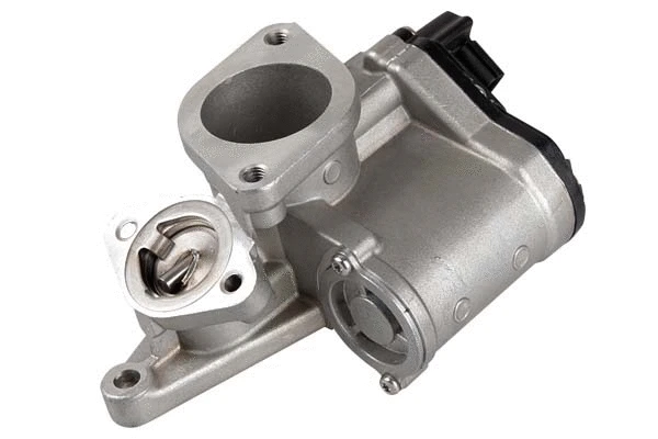 EGR Valve (BGR13098)