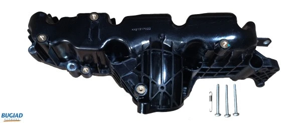 Intake Manifold, air supply (BIM17022)